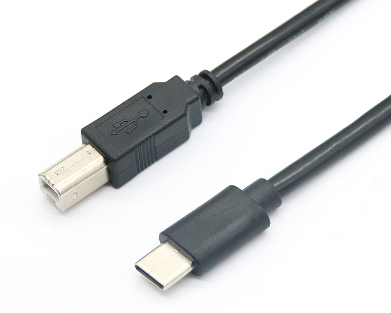 USB C to USB B 2.0 Cable